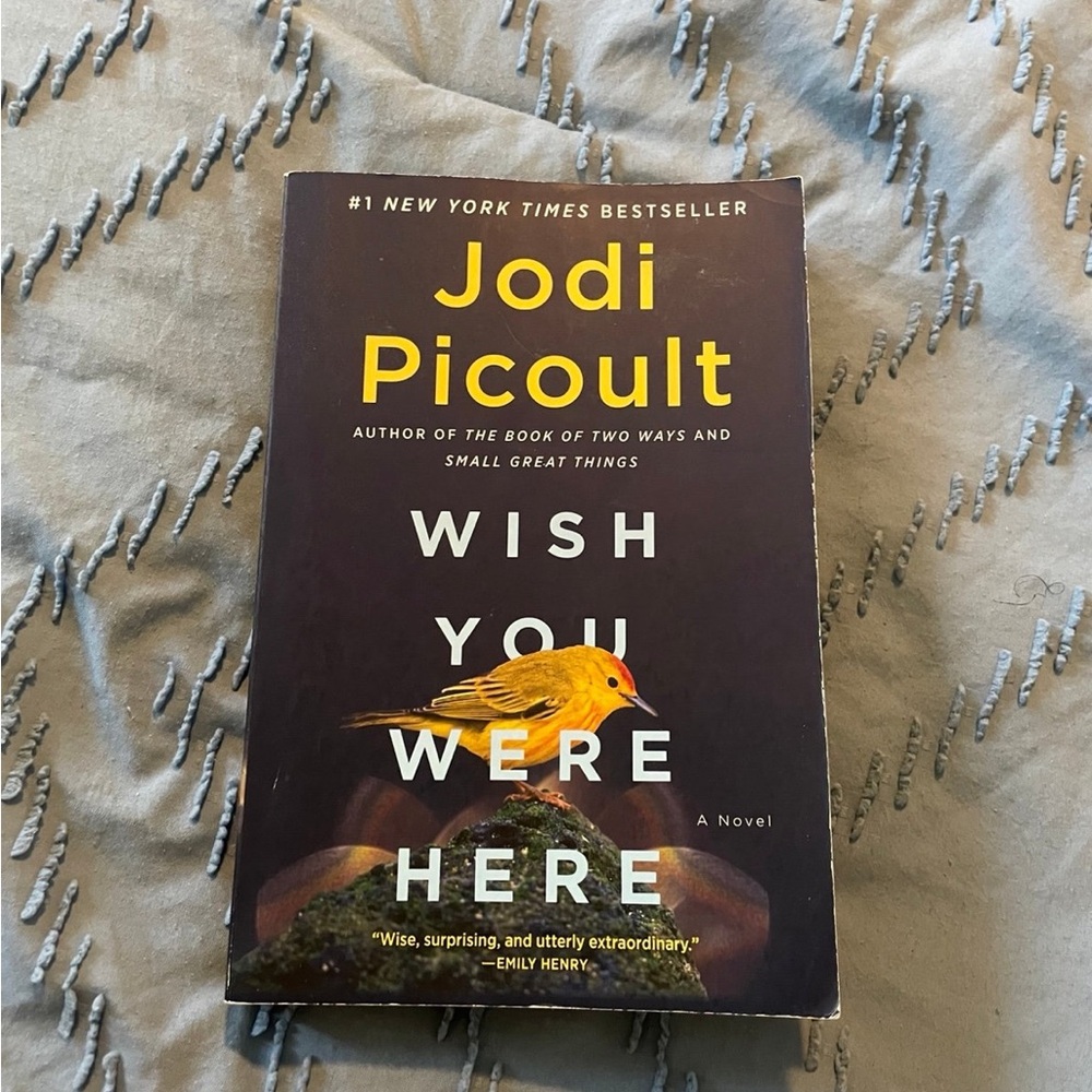 Jodi Picoult Wish You Were Here